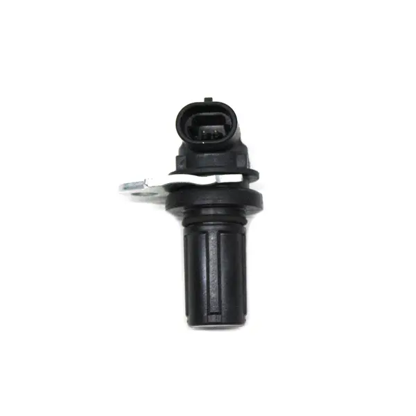 Sensor de Velocidade — 4307351