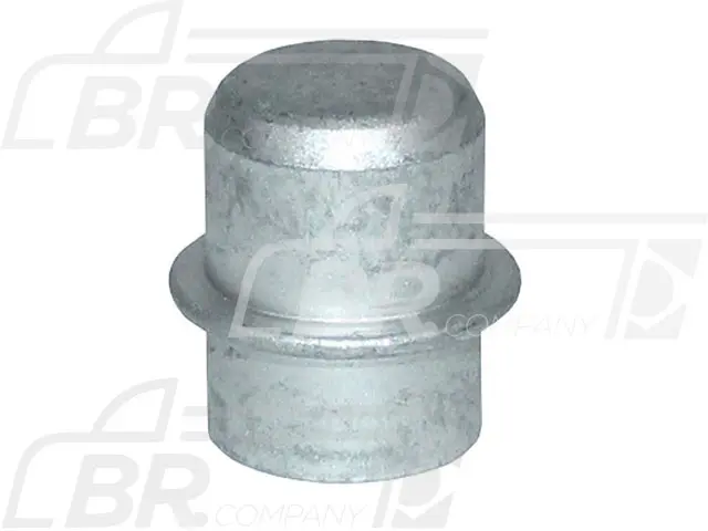 Tampa Plug Cilindro Bloco Motor — 20845995