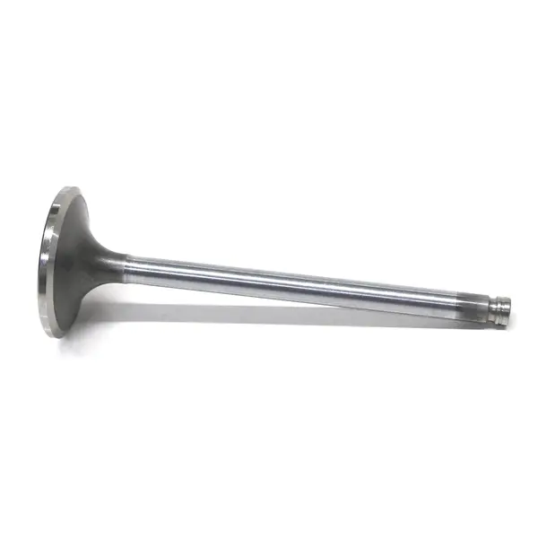 Valvula Admissao 60GR VW/ford Motor — VS4309