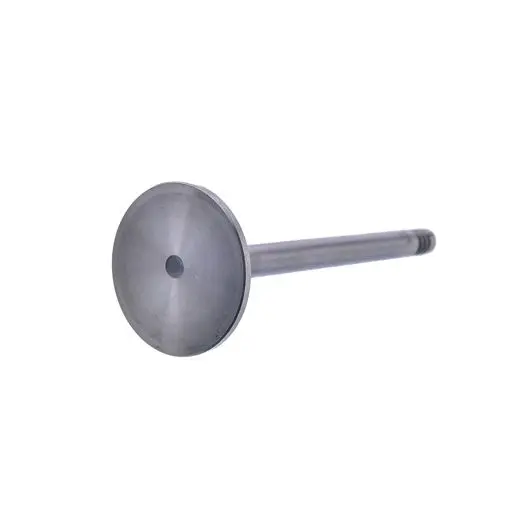 Valvula Admissao Motor P4001T / MS4.1TA — 7008015R1E