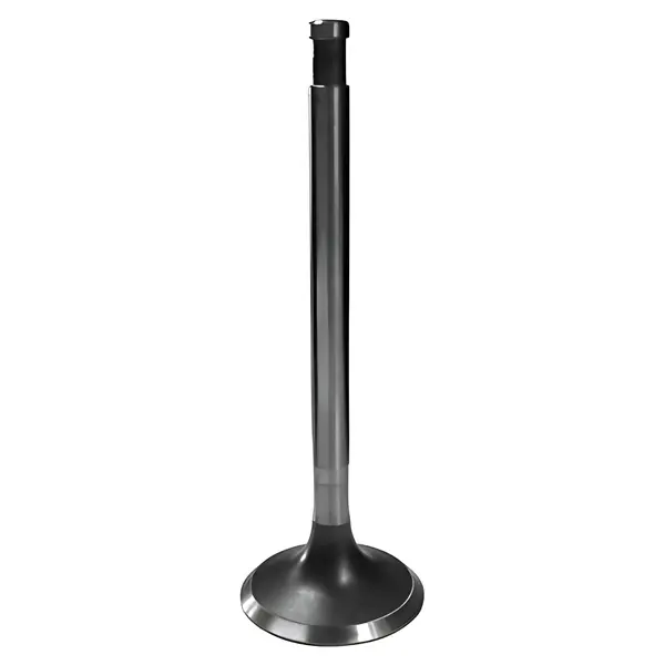 Valvula Admissao Motor para Agrale — 7006006005003