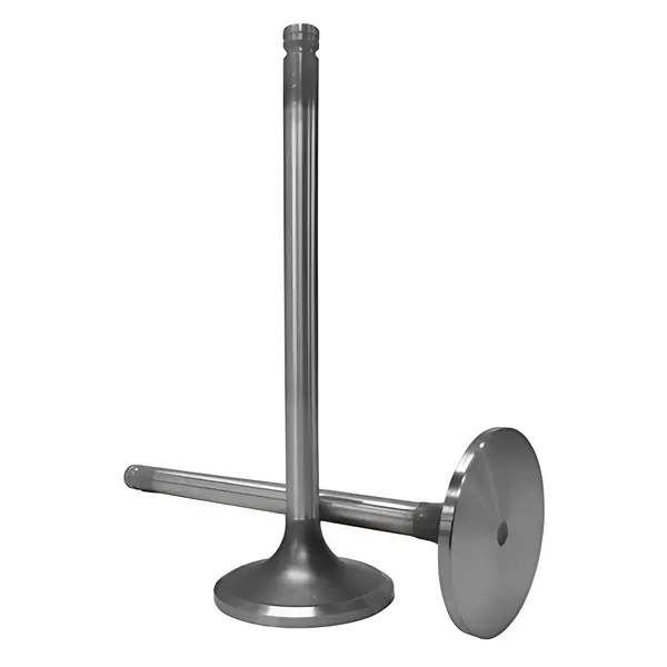 Valvula Admissao para Cummins Serie C — TE3109601-99