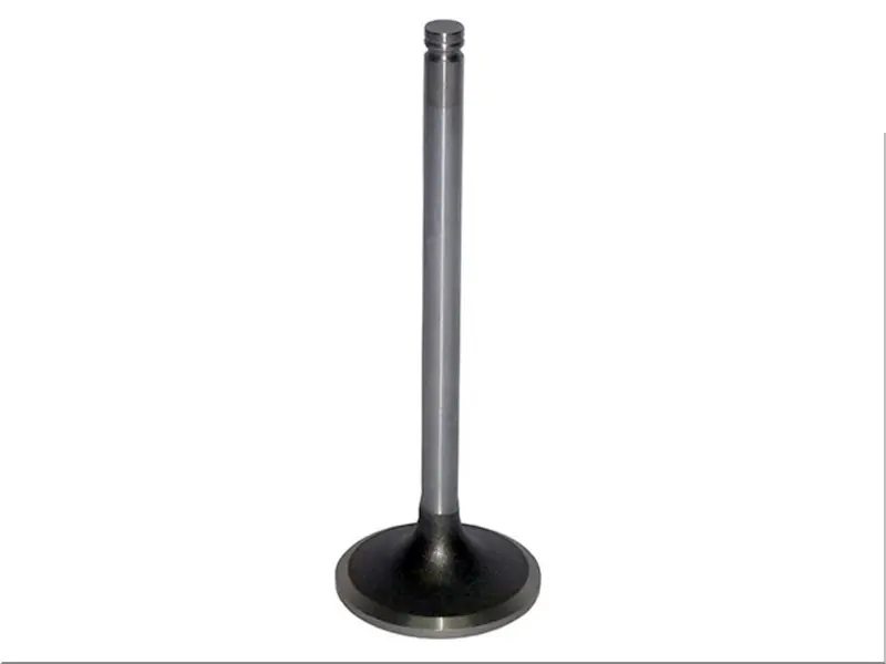 Valvula Admissao para Ford Cargo e VW — 2RK109601