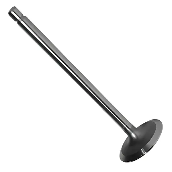 Valvula Admissao para Ford F350 F4000 VW Delivery — BH5T6507AA