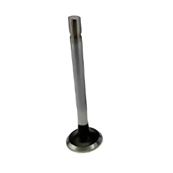 Valvula Admissao para Hyundai Hr 2.5 8V — 083657