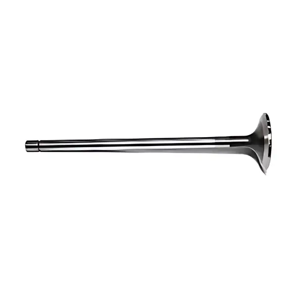 Valvula Admissao para Iveco Stralis 360 400 440 450 — 50017902