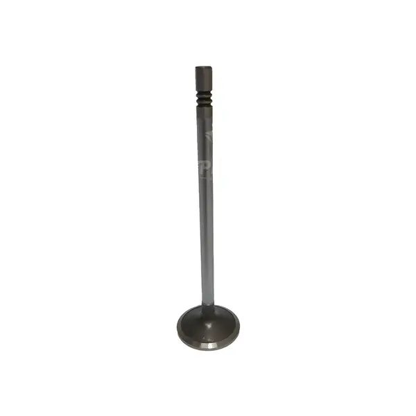 Valvula Admissao para Iveco Tector Vertis — 504242875