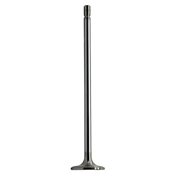 Valvula Admissao para Volvo N10 NL10 B10M B10R — 467502