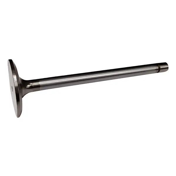 Valvula Admissao para Volvo NL10 N10 B10M B10R — 469240