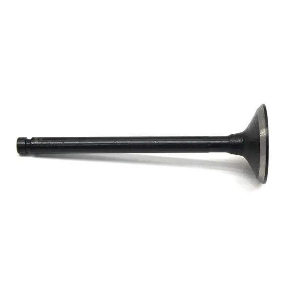 Valvula de Admissao Mercedes Benz: — MM100996E