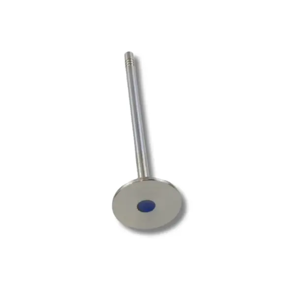 Válvula de Admissao VWCO 07W109601 — 07W109601