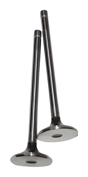 Valvula Escape Motor para Ford — BG5X6505BA