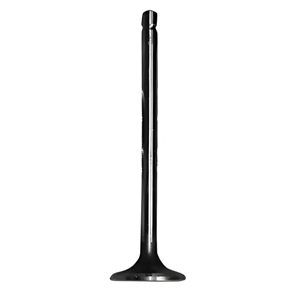 Valvula Escape para Ford Cargo 3133 1933 — BH2X6505CA