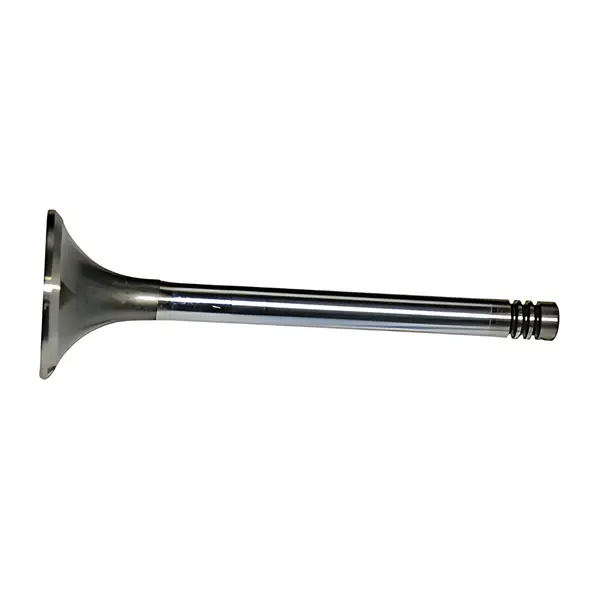 Valvula Escape para Ford F1000 MWM 229 Turbo — 2RB109611