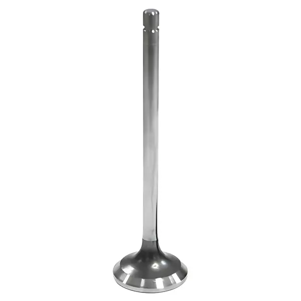 Valvula Escape para Ford F350 F4000 VW 6160 — BH5T6571AA