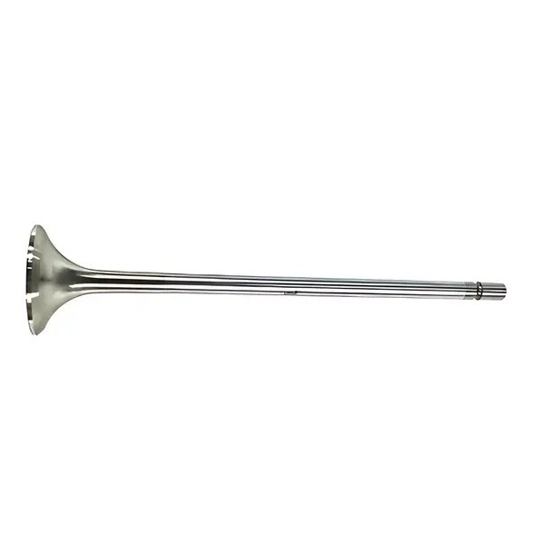 Valvula Escape para Volvo FH12 FM12 B12 B10 — 20441945