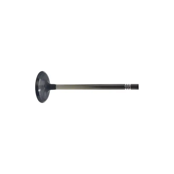 Valvula Motor para Ford F4000 Ano 85/90 — EZTN6507AA