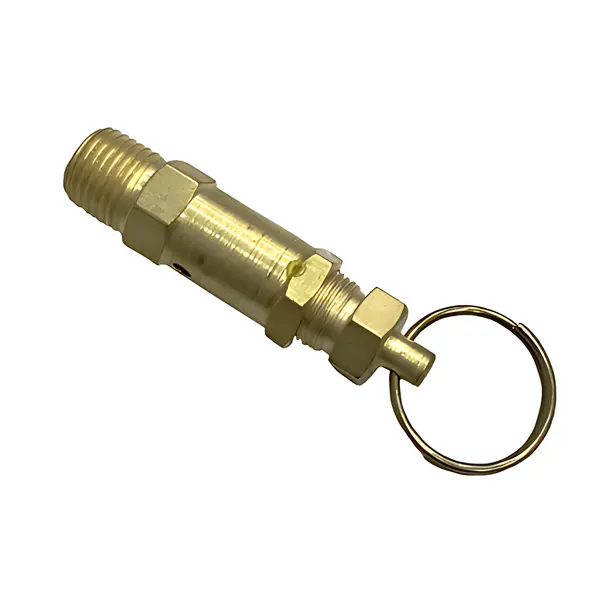 Valvula Seguranca para Ford C2425 C2422 — TJG607317C