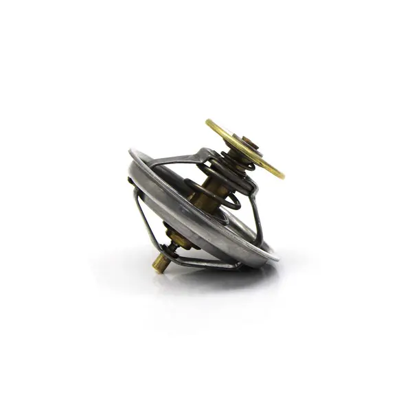Valvula Termostatica para Agrale Volvo VW — 961207570024E