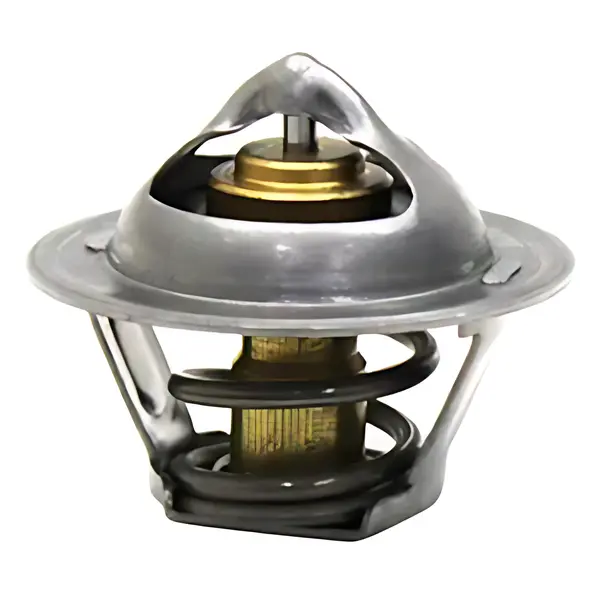 Valvula Termostatica para Ford F250 — 905250100042E