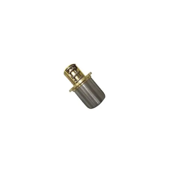 Valvula Termostatica Radiador Oleo — 98498322