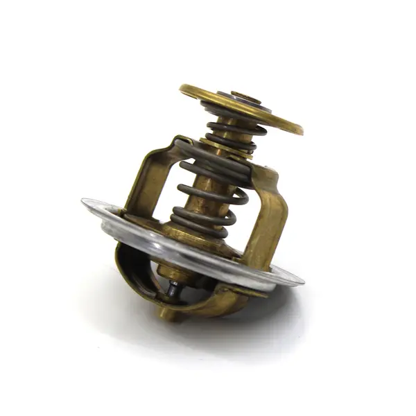 Valvula Termostica para Ford VW — 905250100039E