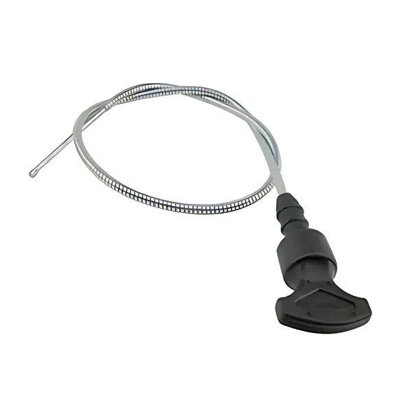 Vareta Nivel Oleo Motor — 2C456750AB